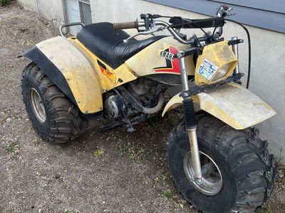 Yamaha 200e and trailer