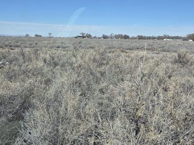 Farm Land