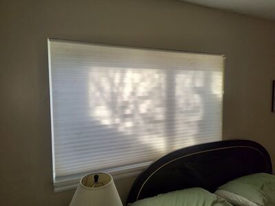 3 Honeycomb cellular shades from 55.75” W x 35” H windows; $10 each.