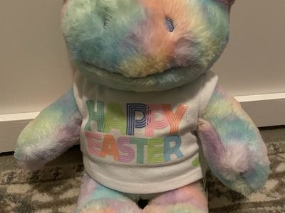 Build A Bear Hoppy Swirls Tie Dye Pastel Frog