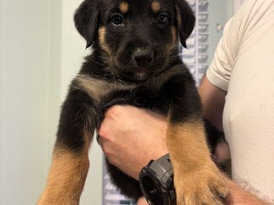 Hello my name is Phil (blue)
