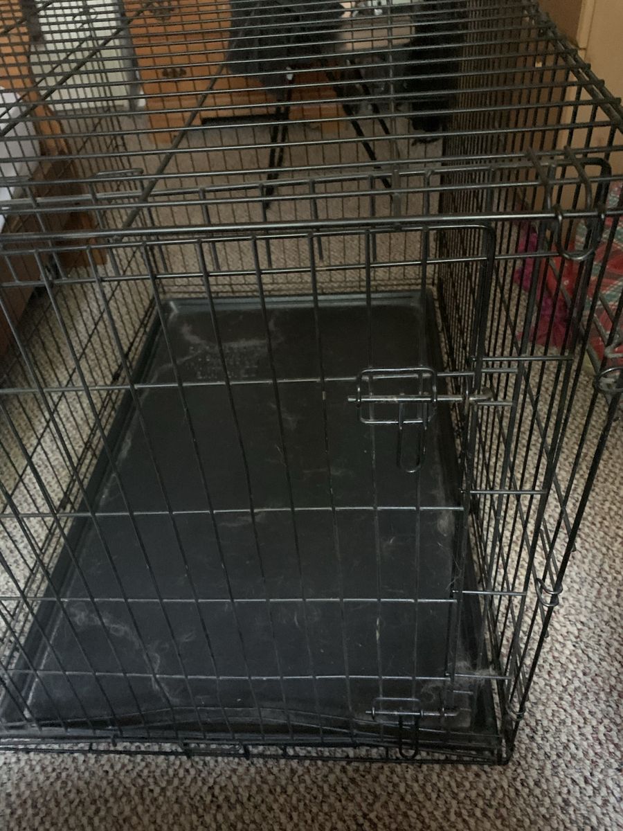 Black Wire Dog Crate with Tray -