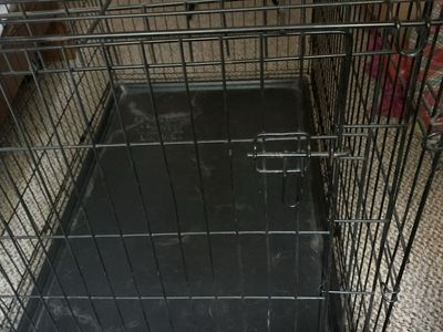 Black Wire Dog Crate with Tray -