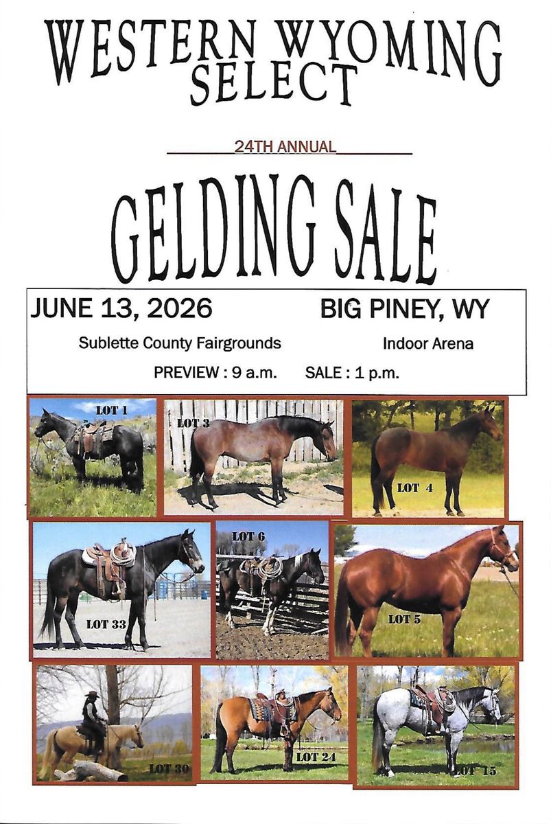 35 head of broke geldings sell June 13th