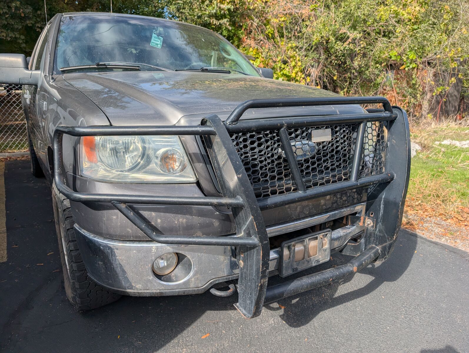 Ford F150 Brushguard
