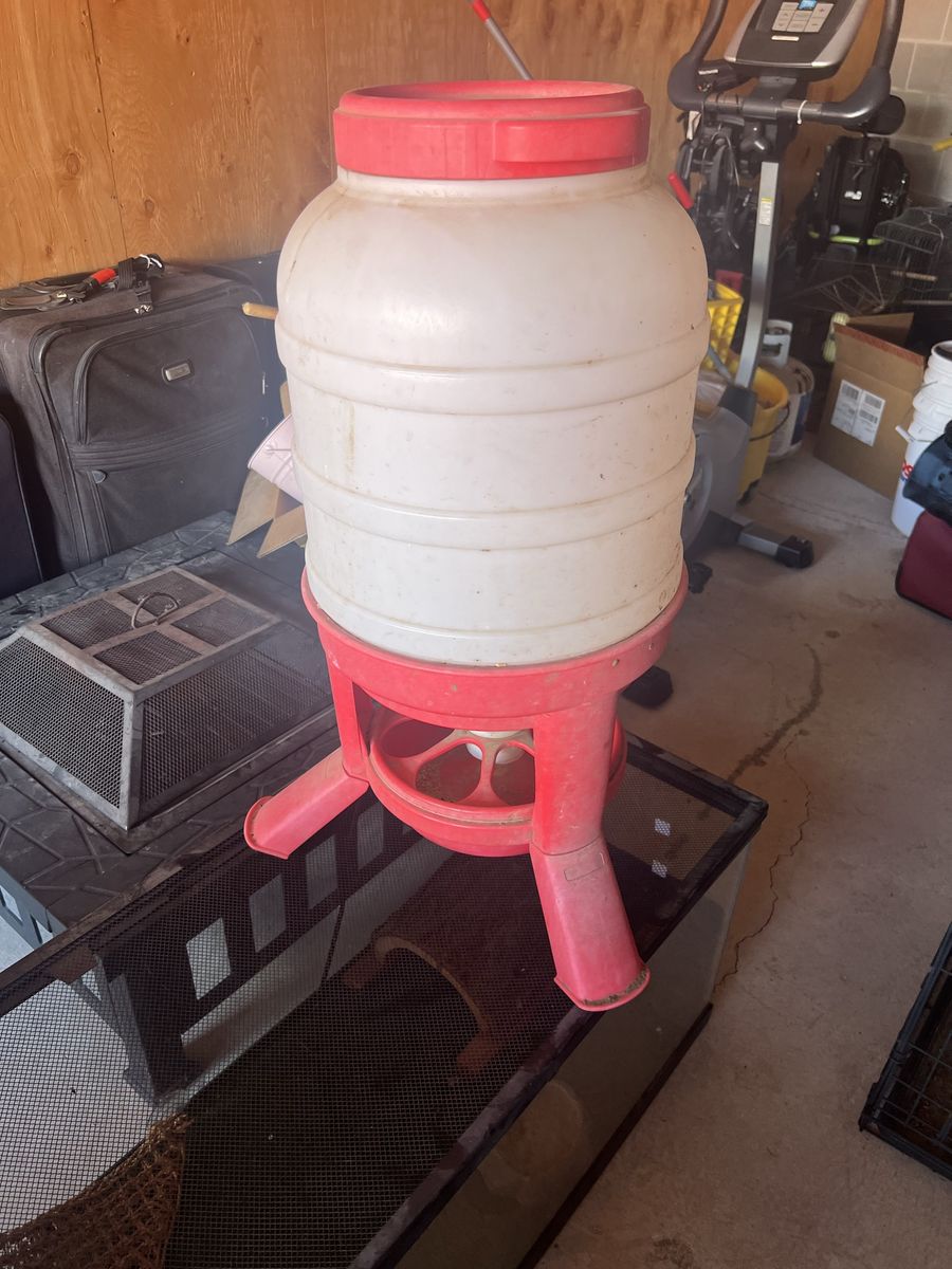 Chicken feeder
