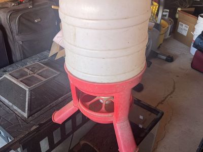 Chicken feeder