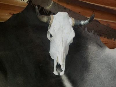 Western decor for weddings