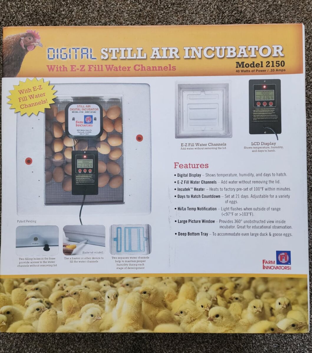 Brand New Digital Incubator