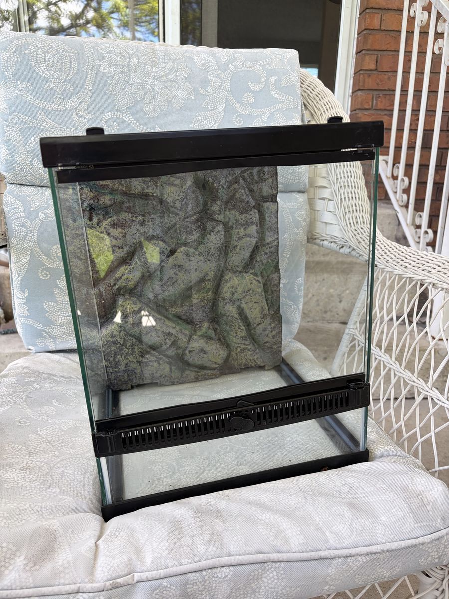 12x12x18 Glass Terrarium with Decor & Pangea Gecko Diet, Excellent Condition
