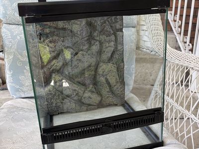 12x12x18 Glass Terrarium with Decor & Pangea Gecko Diet, Excellent Condition