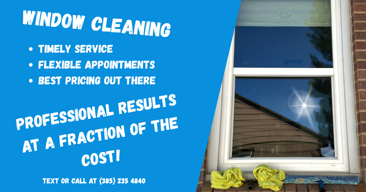 Window Cleaning Service