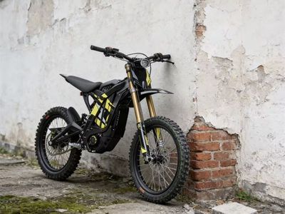 BRAND NEW 2025 SURRON LIGHT BEE