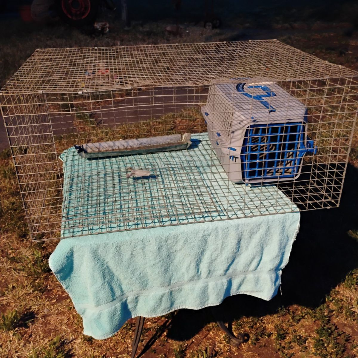 Wire Mesh Rabbit or Baby Chicks Cage W/Pet Carrier