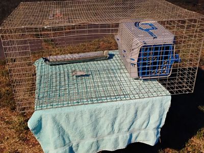 Wire Mesh Rabbit or Baby Chicks Cage W/Pet Carrier