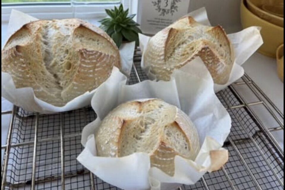 Sour Dough Bread Starter Kit