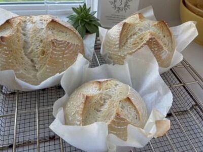 Sour Dough Bread Starter Kit