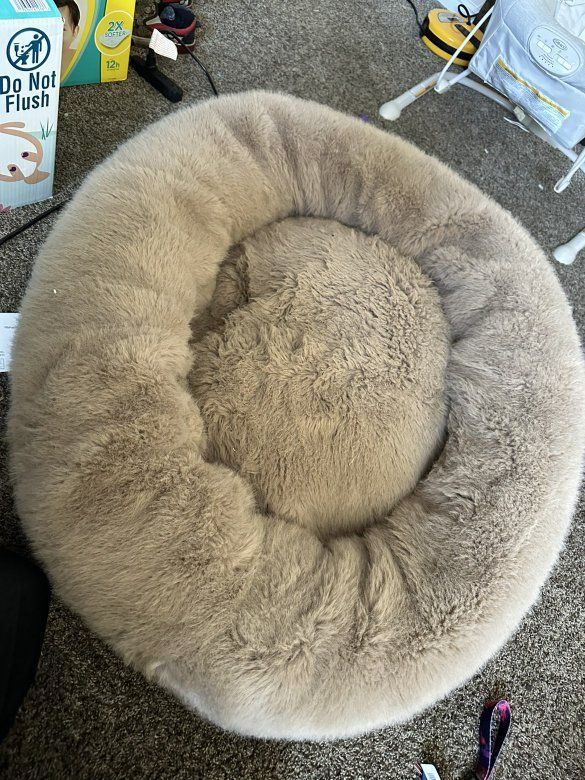 Dog Bed