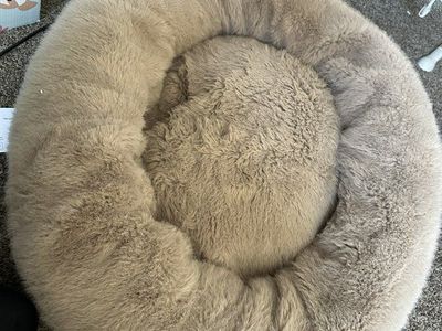 Dog Bed
