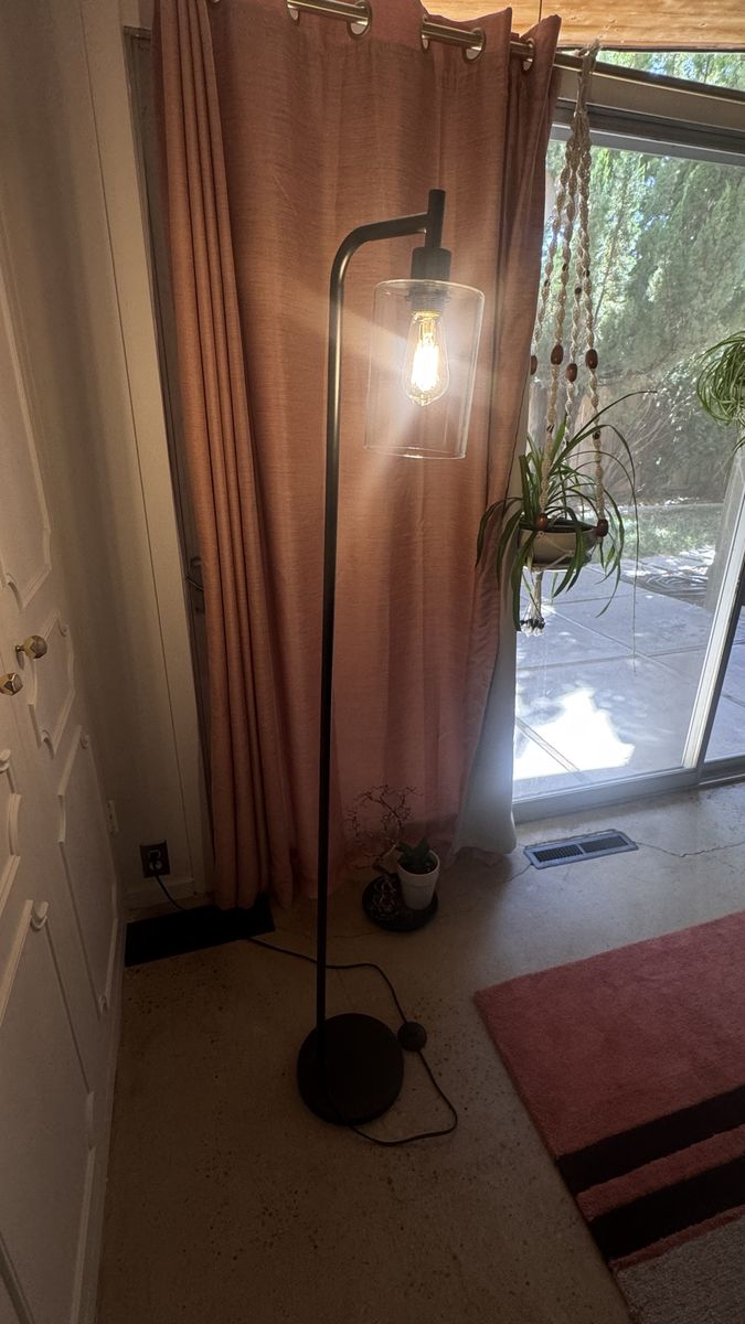 Modern Black Metal Floor Lamp with Clear Glass Shade and Edison Bulb