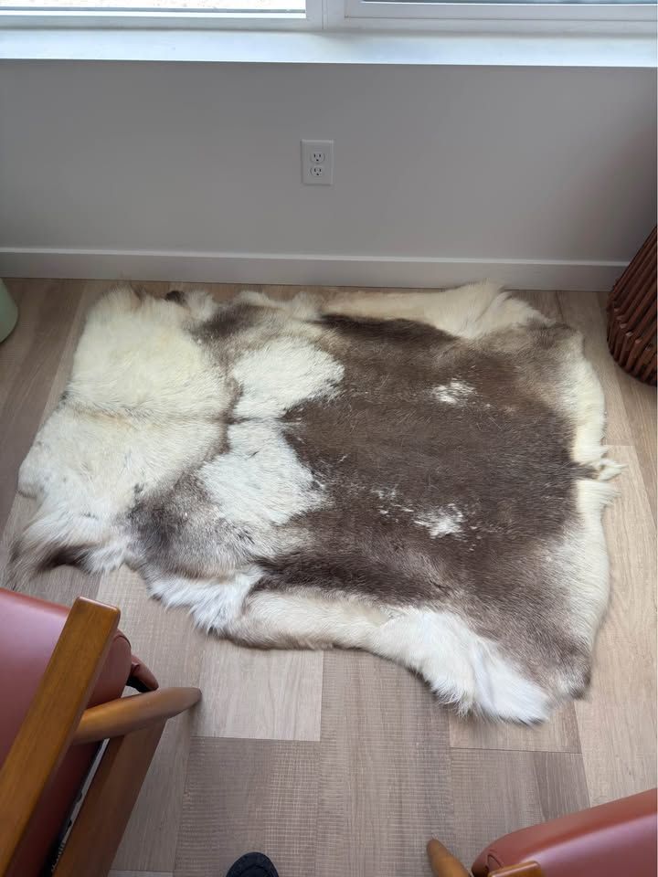 Authentic Reindeer Pelt Rug — 4x4 ft, Like New