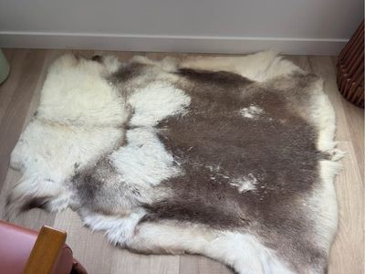 Authentic Reindeer Pelt Rug — 4x4 ft, Like New