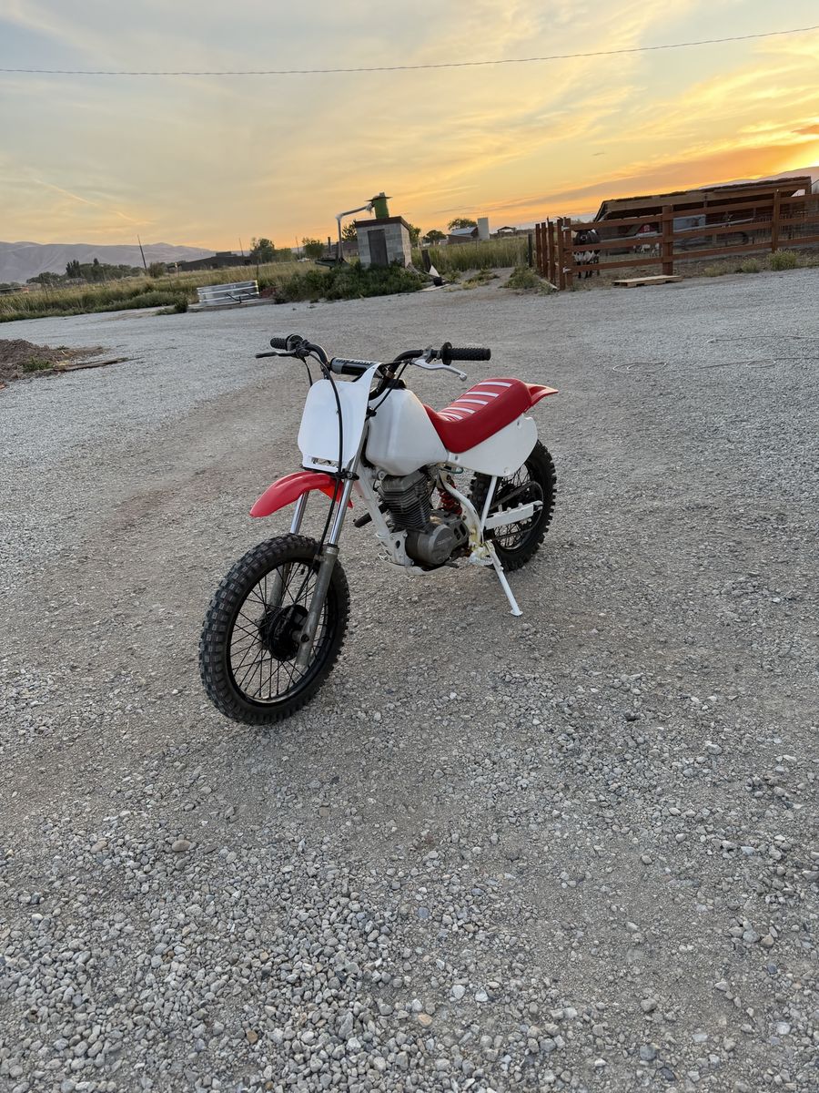 1994 XR 80