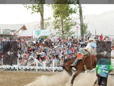 3 tickets - $165 - Friday - Strawberry Days Rodeo