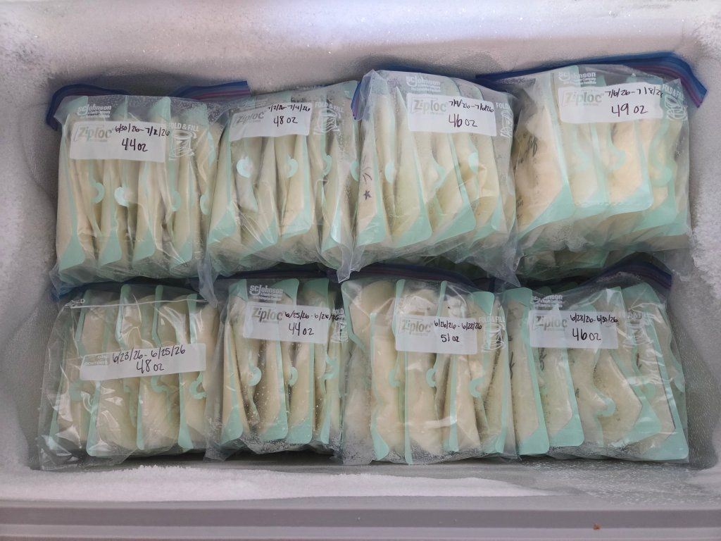 Excess Frozen Breast Milk
