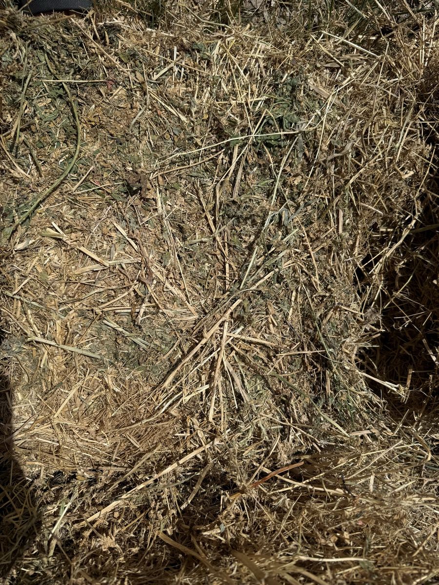 Main image 2