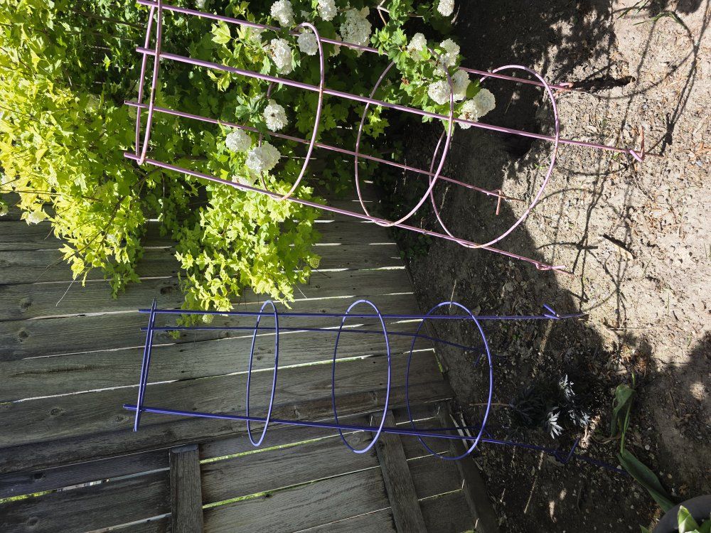 sturdy tomato cages