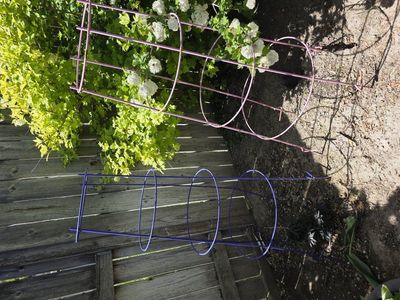 sturdy tomato cages