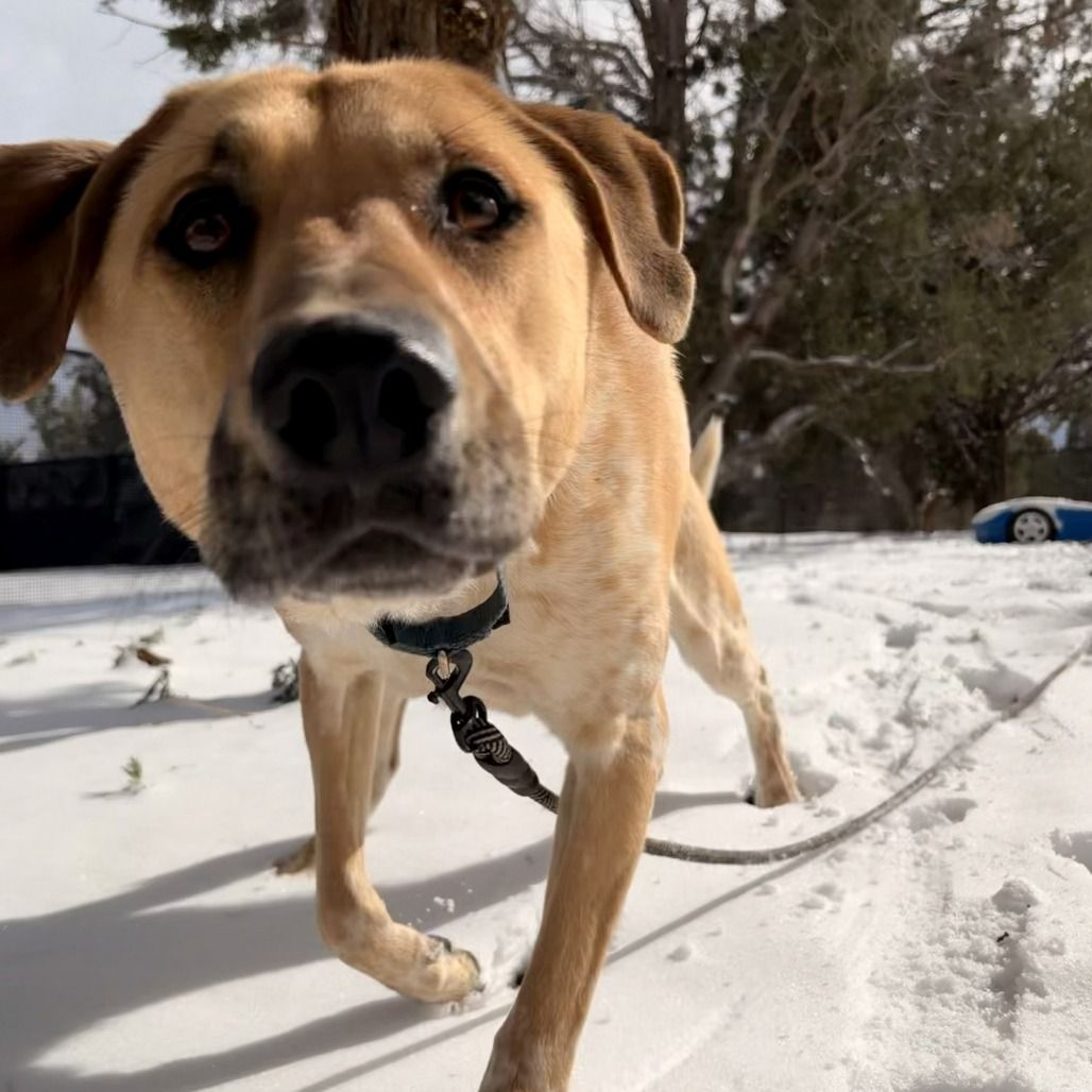 Hello my name is Mantis