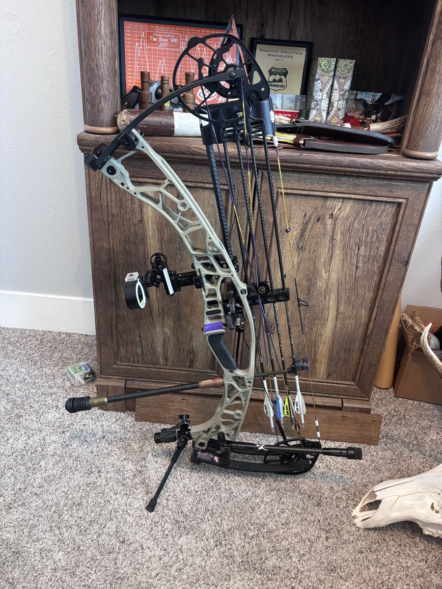 Hoyt AX-3 33