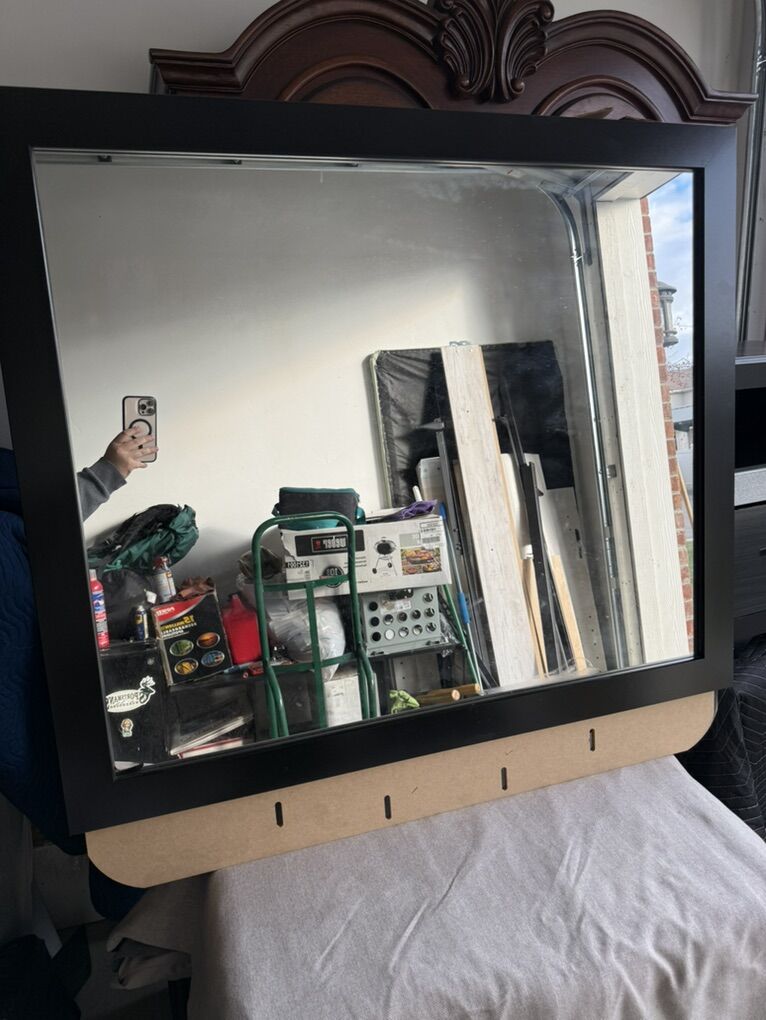 Large Black Framed Wall Mirror