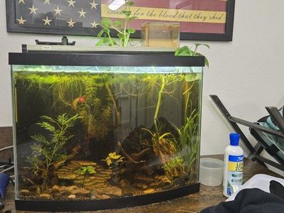 Used 10-Gallon Live Planted Aquarium with Filtration, Heater & Plants - Complete Setup