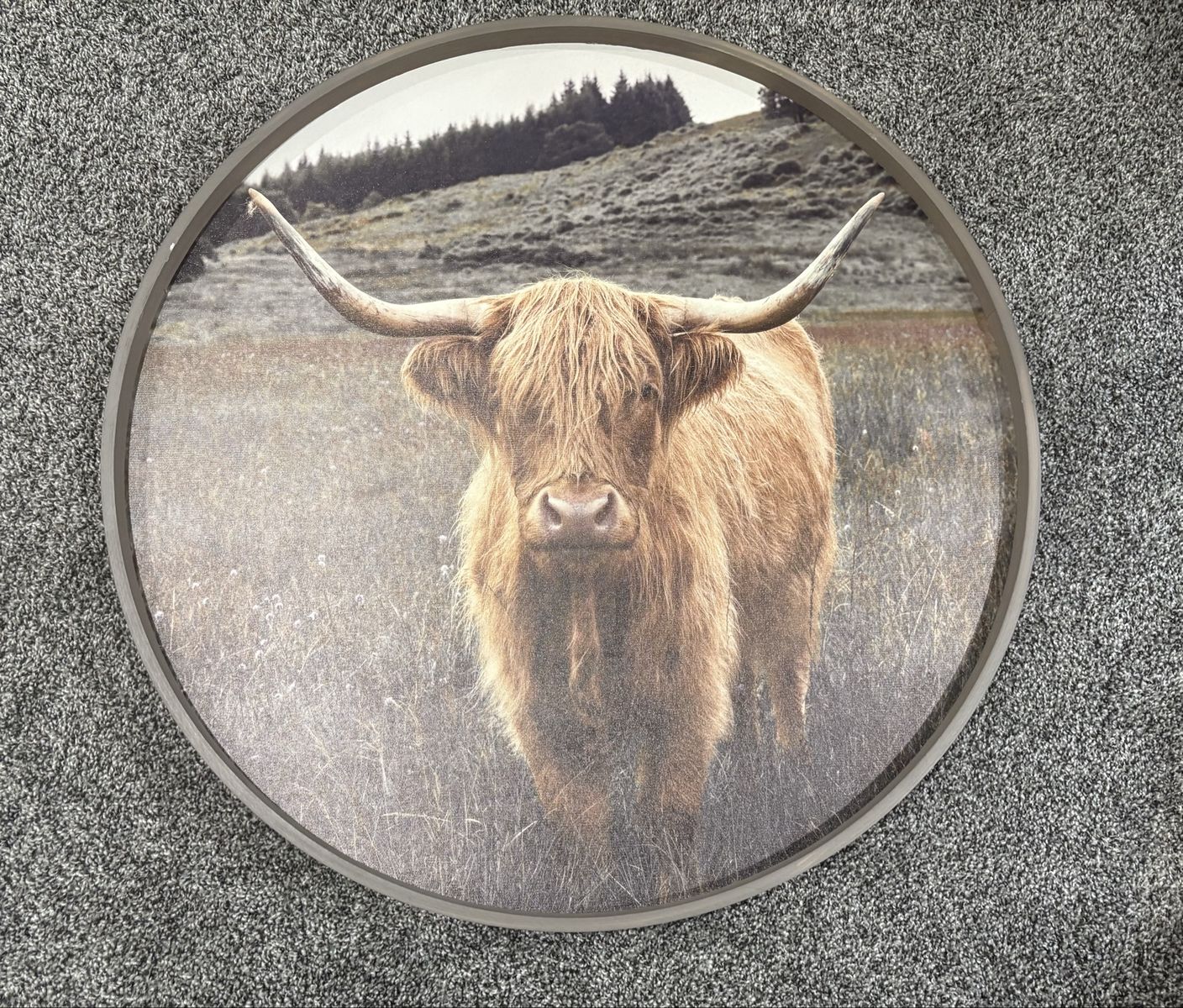 Circular cow picture