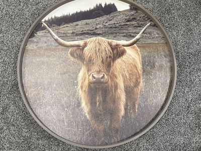 Circular cow picture