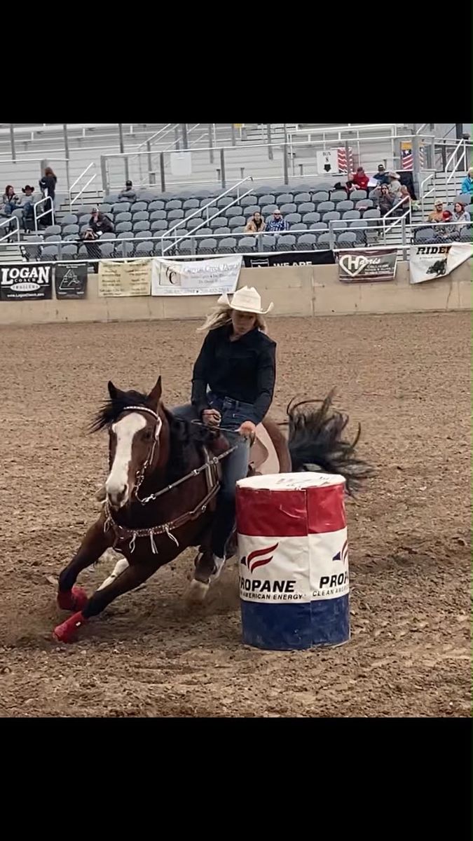 ISO Barrel Horse