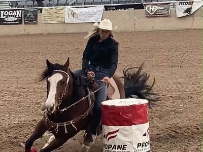 ISO Barrel Horse