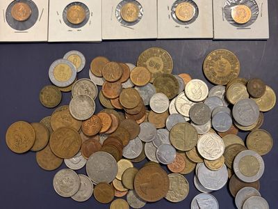 Foreign collectors coin lot