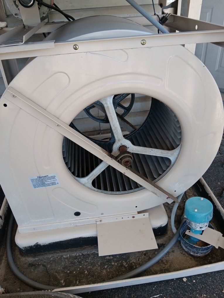 Main image 5