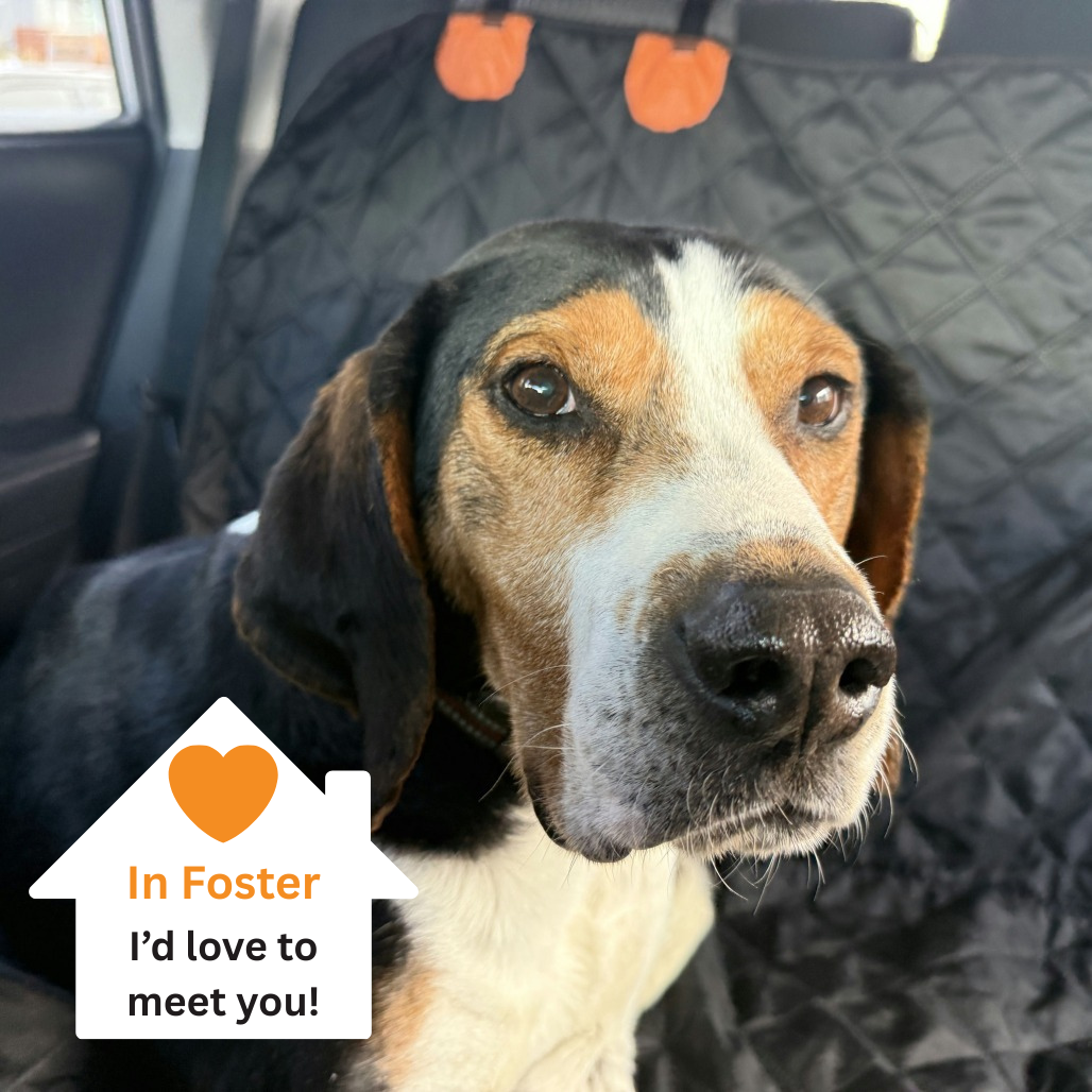 Hello my name is Herschel