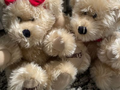 Hersheys Chocolate Advertising Plush Teddy