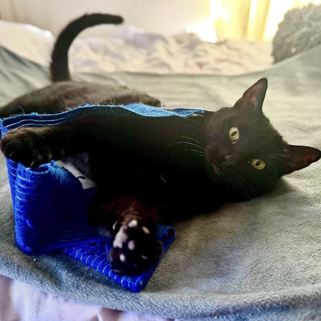 Hello my name is Night
