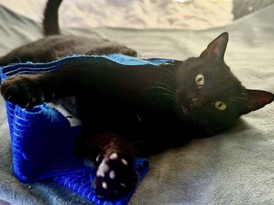 Hello my name is Night