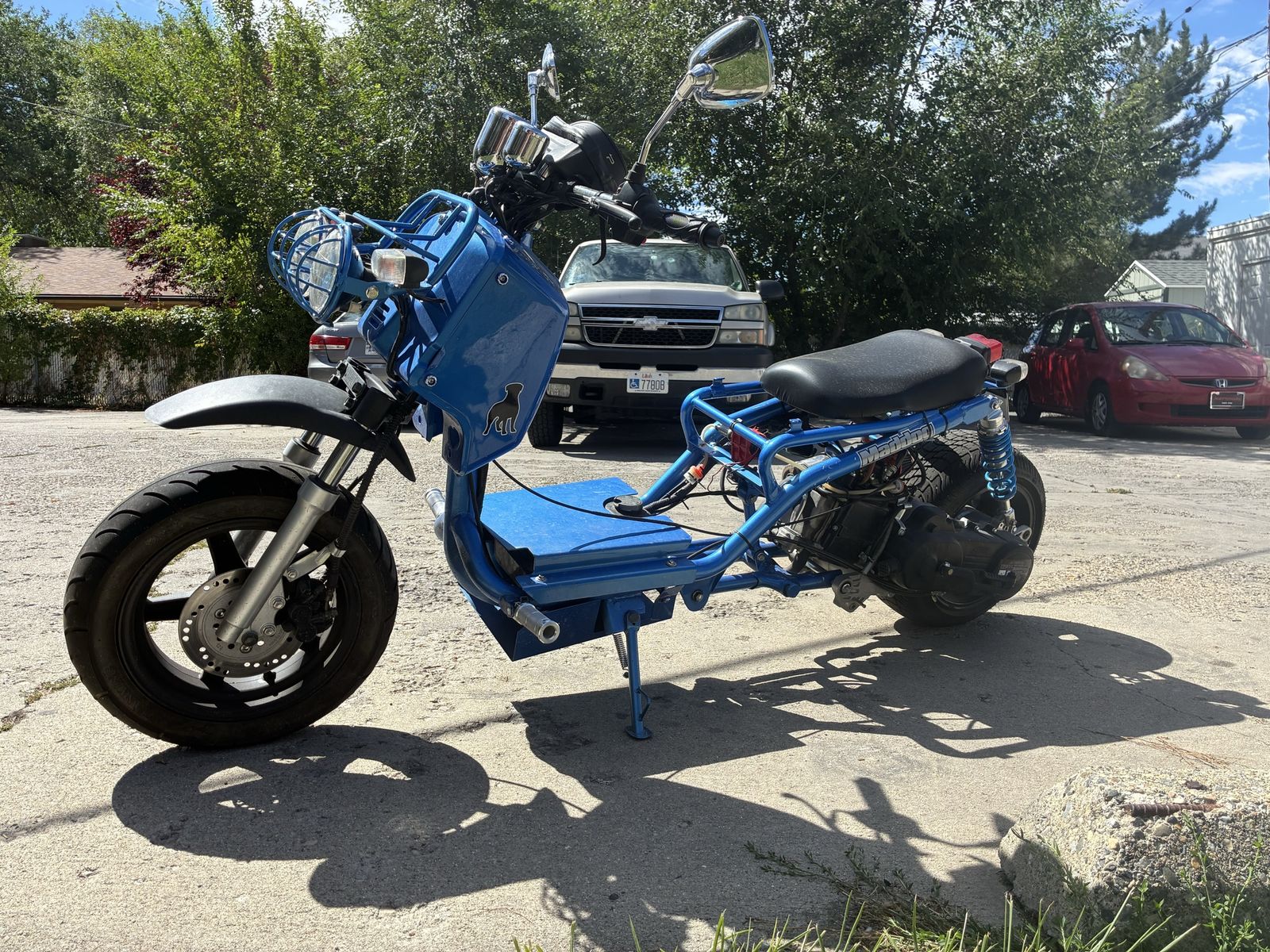 Ice bear Maddog 50