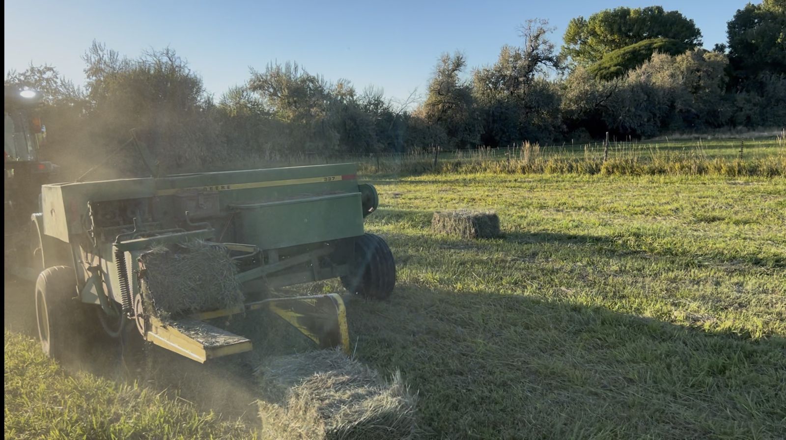 Grass Hay for Sale