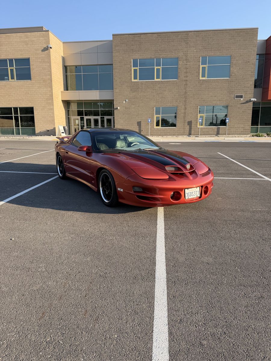 1994 Pontiac Firebird Trans Am