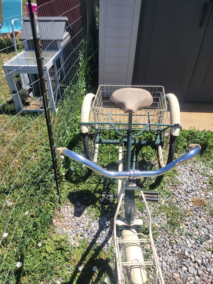 Old tricycle